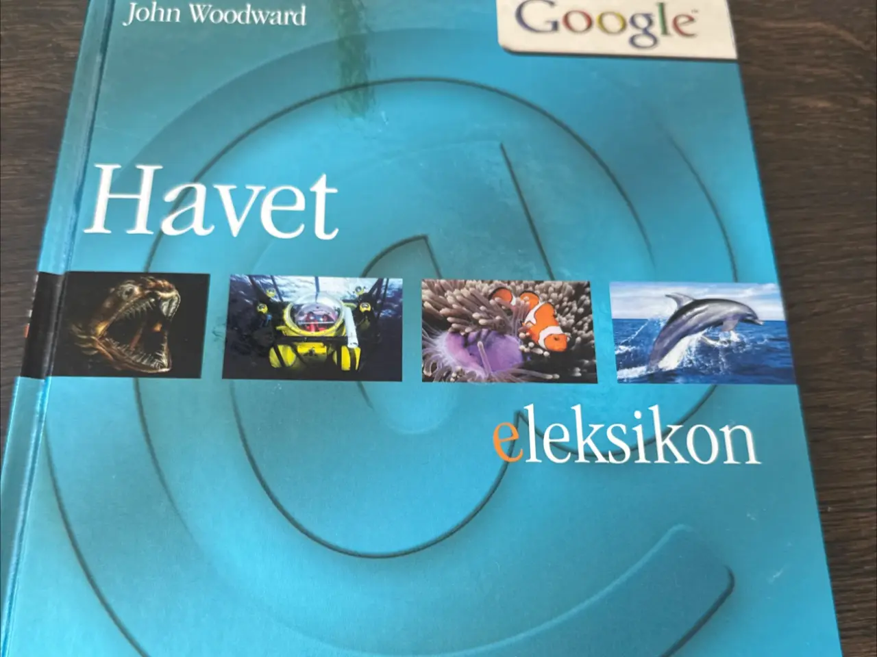 Billede 1 - Havet