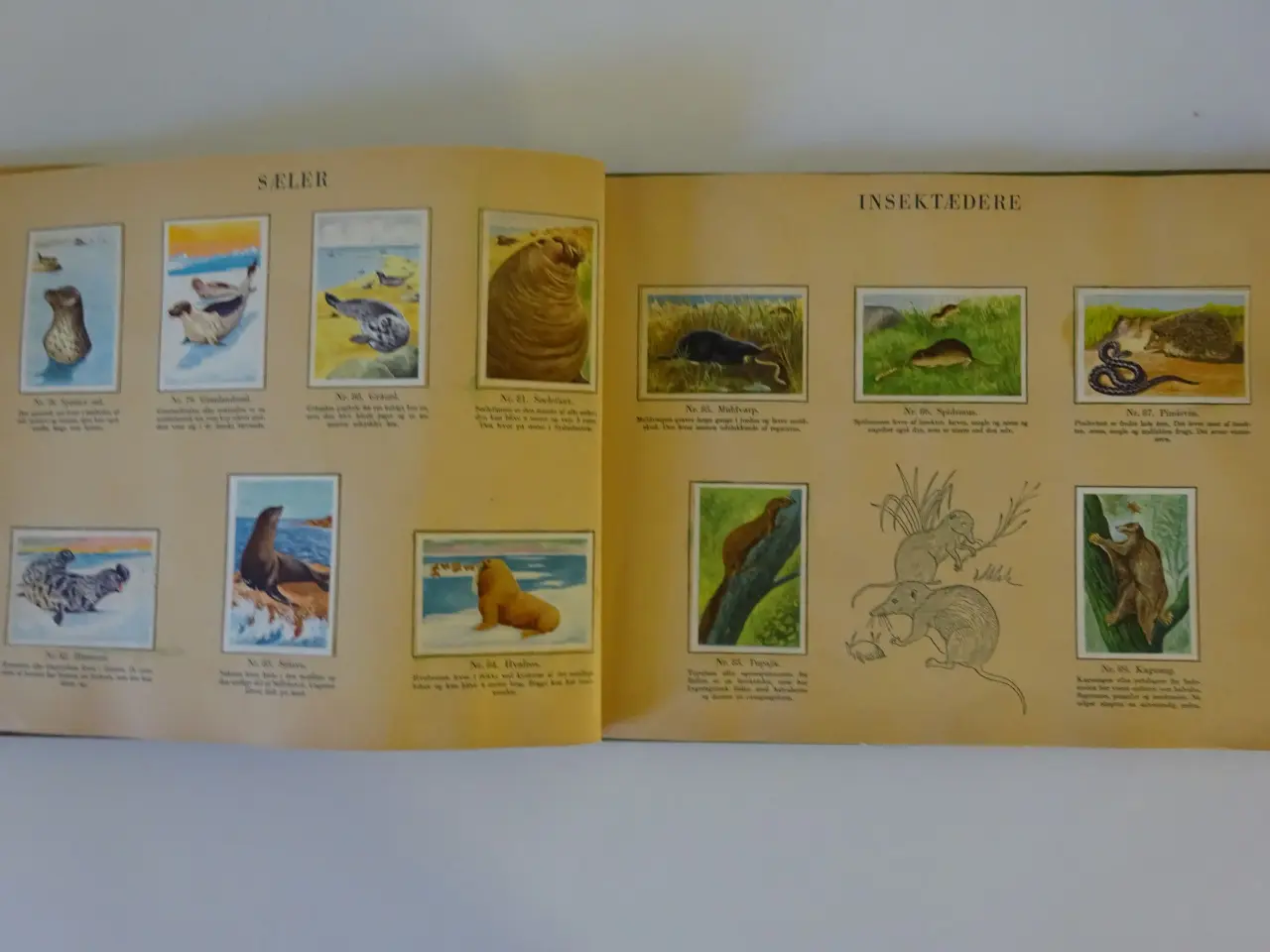 Billede 4 - Danmarks Album