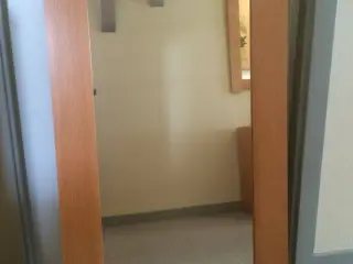 Spejl