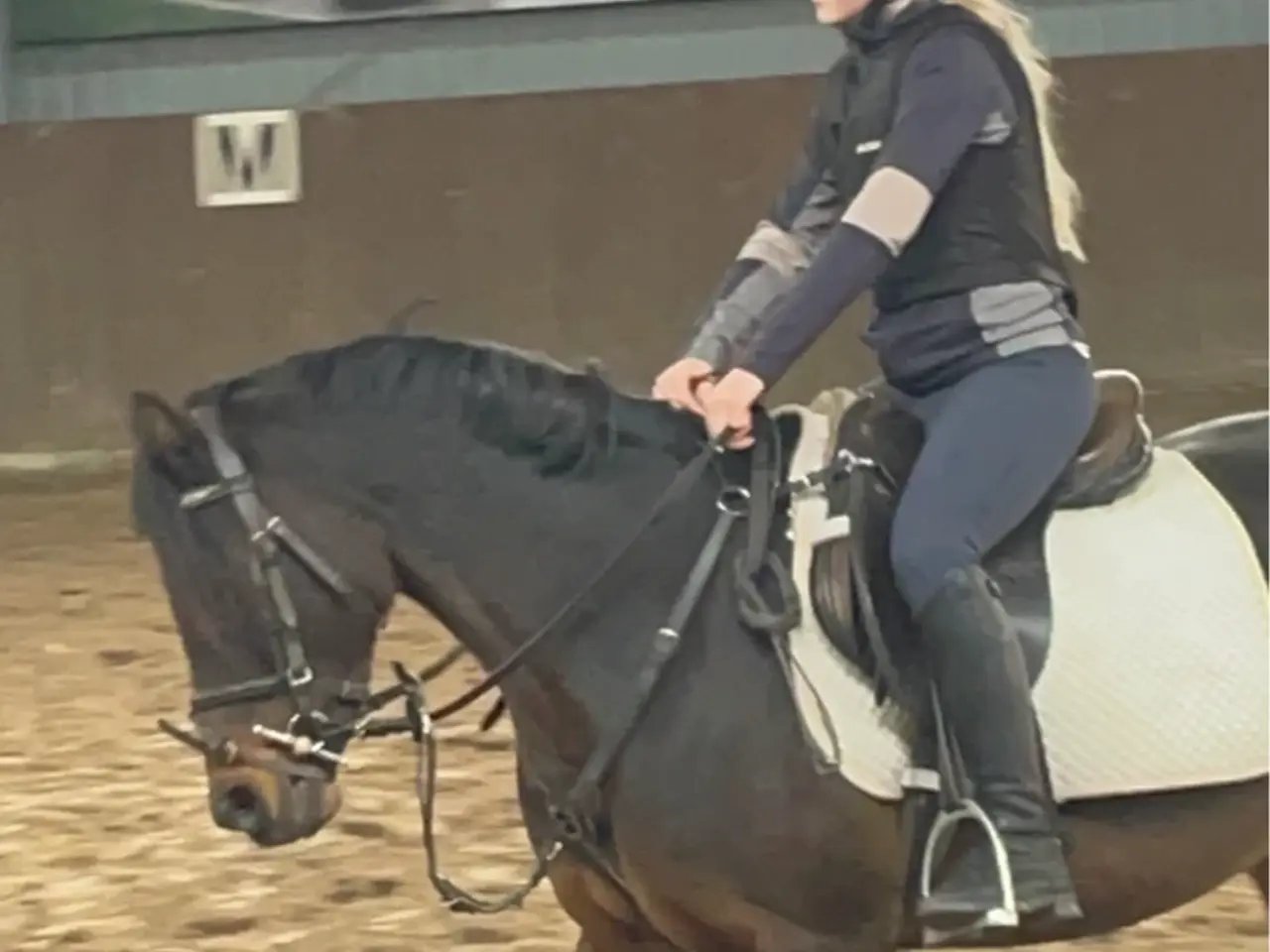 Billede 10 - Smuk Wels pony hoppe