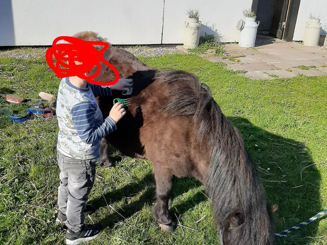 Billede 2 - verdens bedste begynder  Pony 