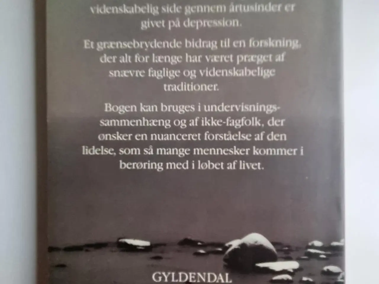 Billede 1 - Hvad betyder depression?