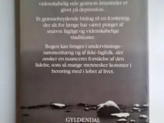 Hvad betyder depression?