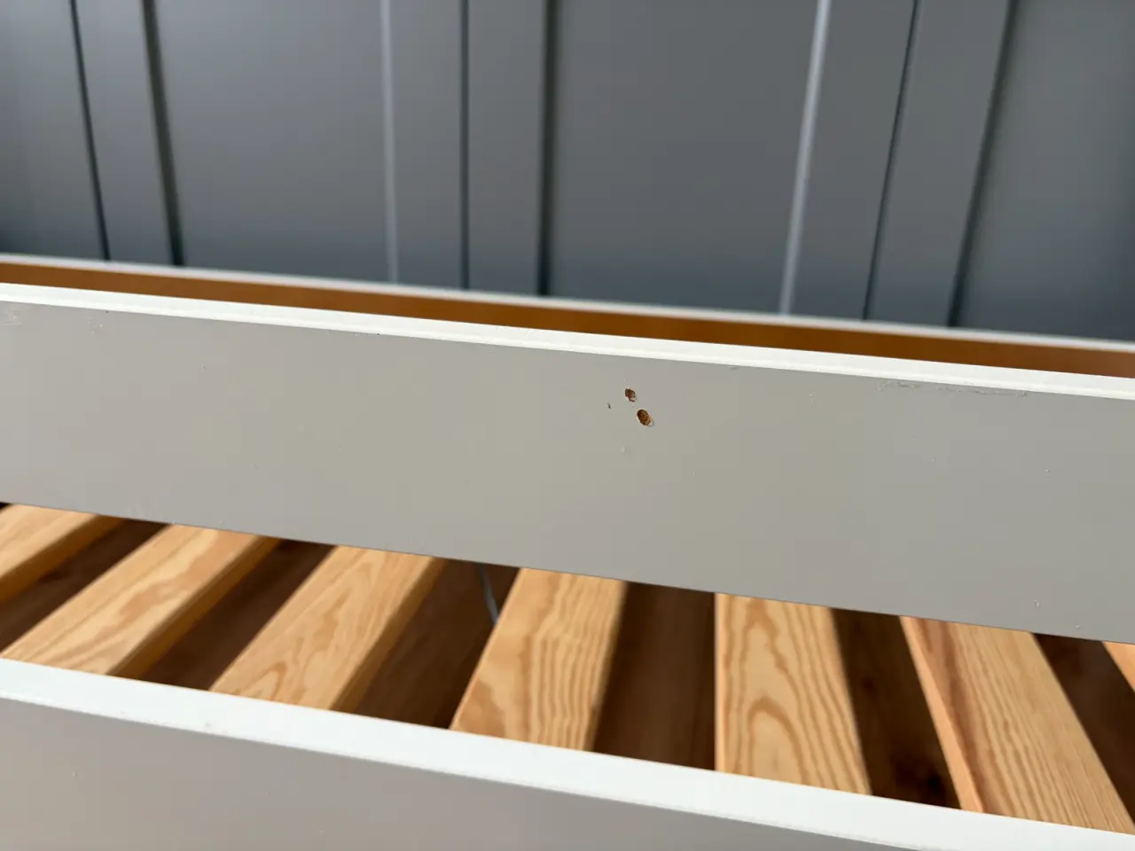Billede 6 - Juniorseng KRITTER