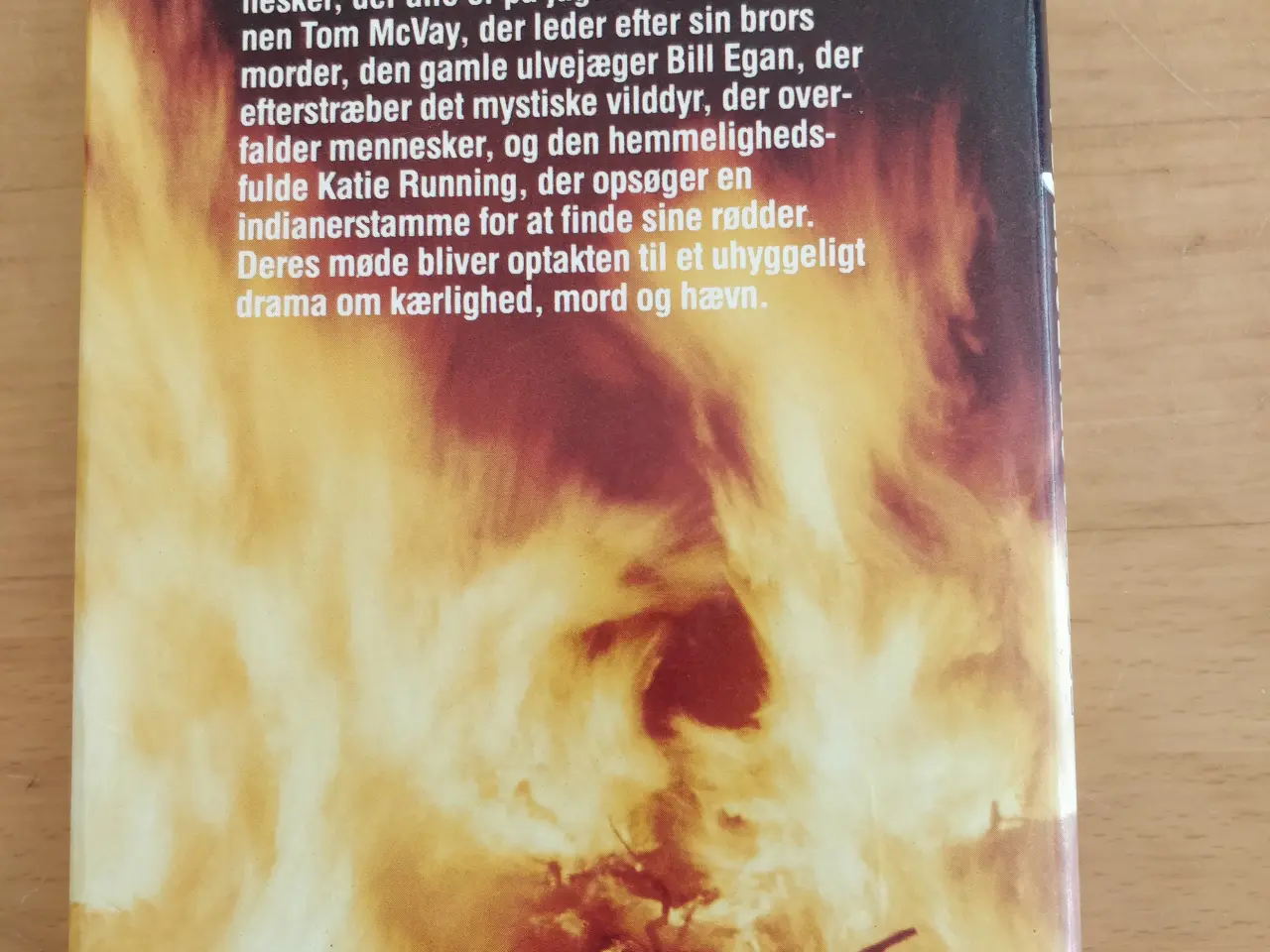 Billede 4 - I bjergenes skygge