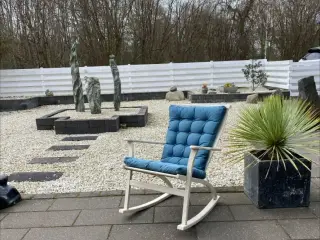 Gyngestol ammestol