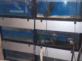 Akvariereol med 6 stk. 110 liter ialt 660 liter.