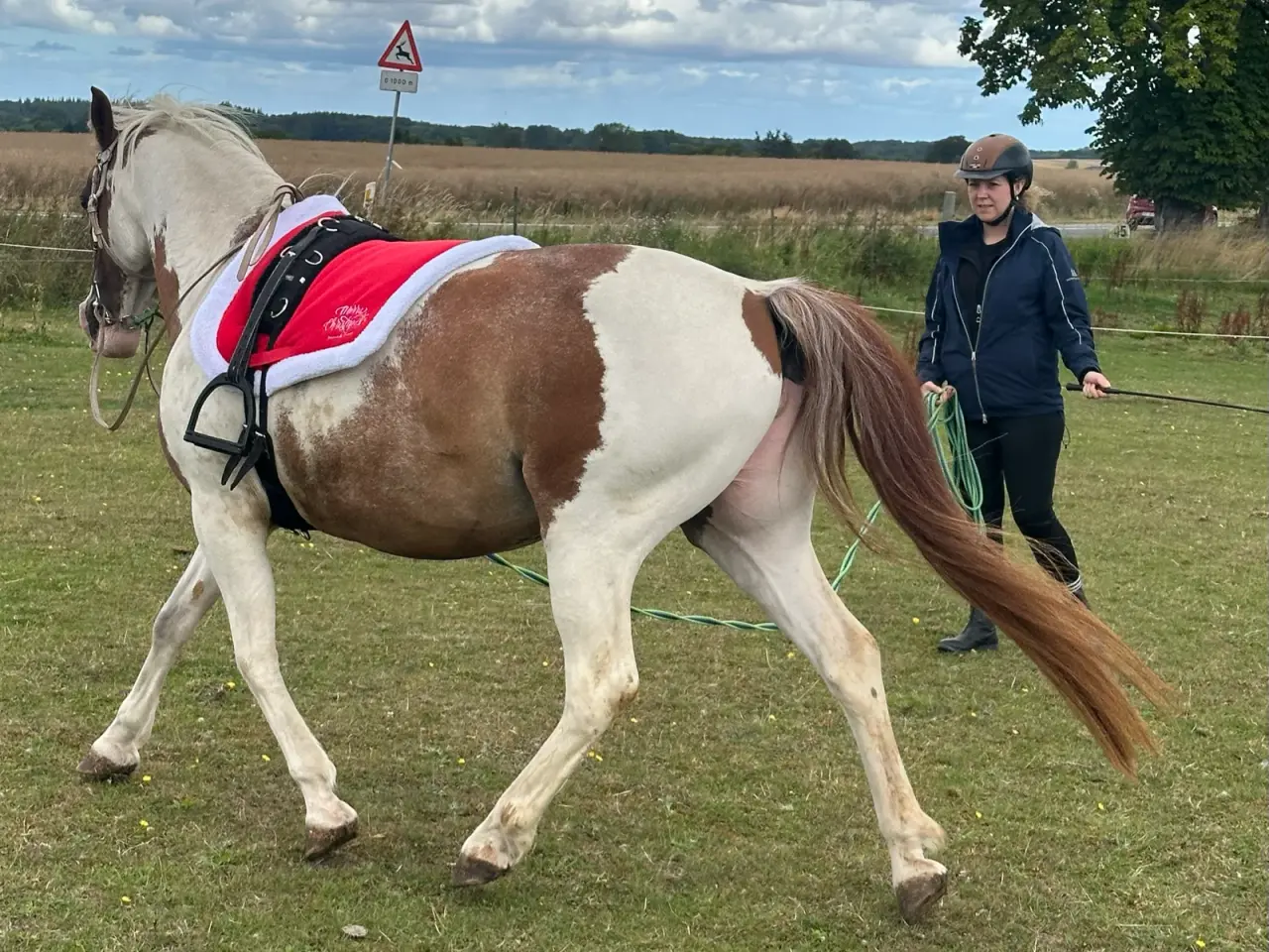 Billede 5 - Smuk prinsesse pony sælges