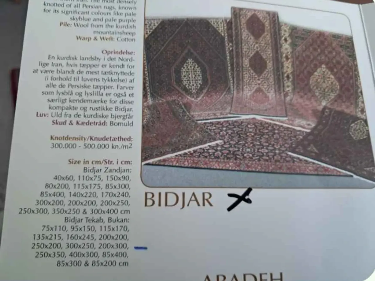 Billede 2 - Bidjar Zandjan