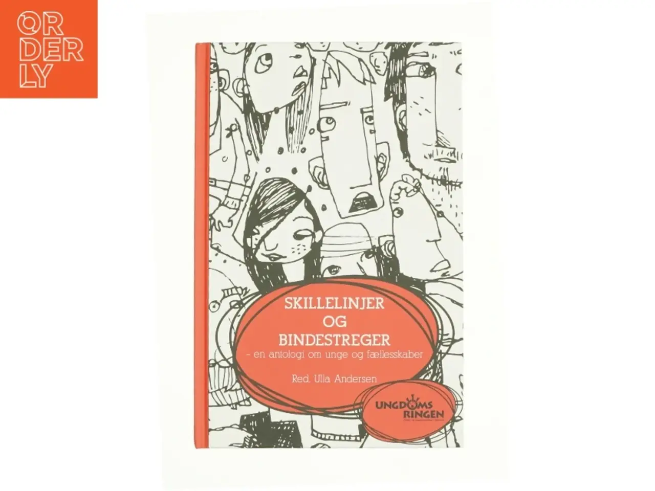 Billede 1 - Skillelinjer og bindestreger (Bog)
