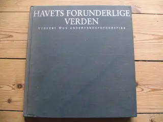 Havets forunderlige verden