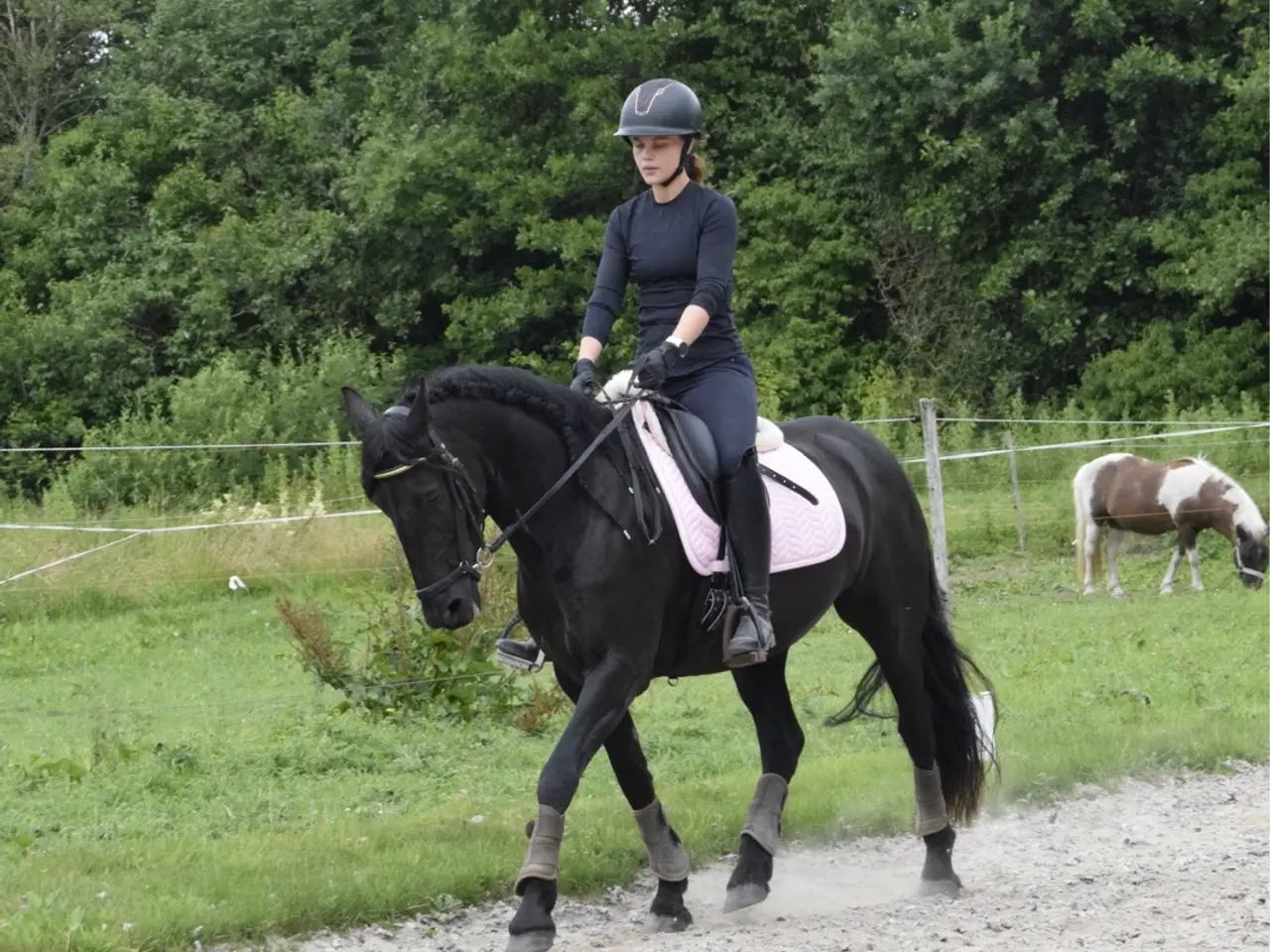 Billede 10 - Halv frieser halv pony