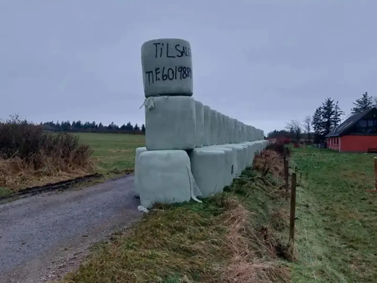 Billede 1 - Tør hø warp