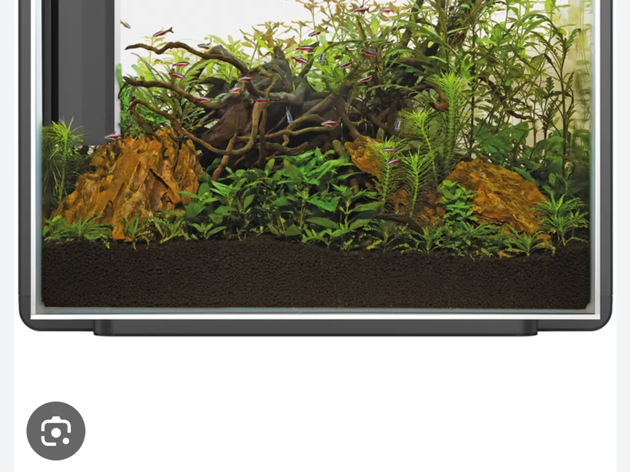 Billede 3 - 80 L superfish akvarie