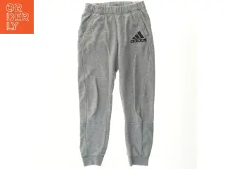 Grå Adidas sweatpants fra Adidas (str. B 30cm L 83 cm)