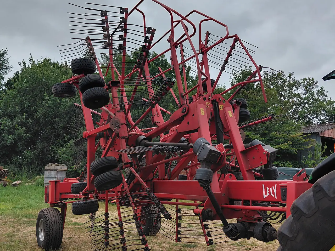 Billede 1 - Lely hibiscus 1015
