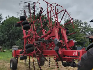Lely hibiscus 1015