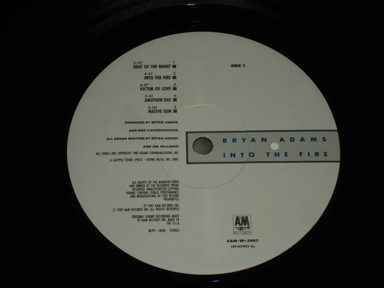 Billede 5 - (Sender gerne) Bryan Adams – Into The Fire