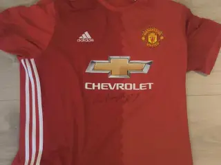 Signeret Rooney Trøje