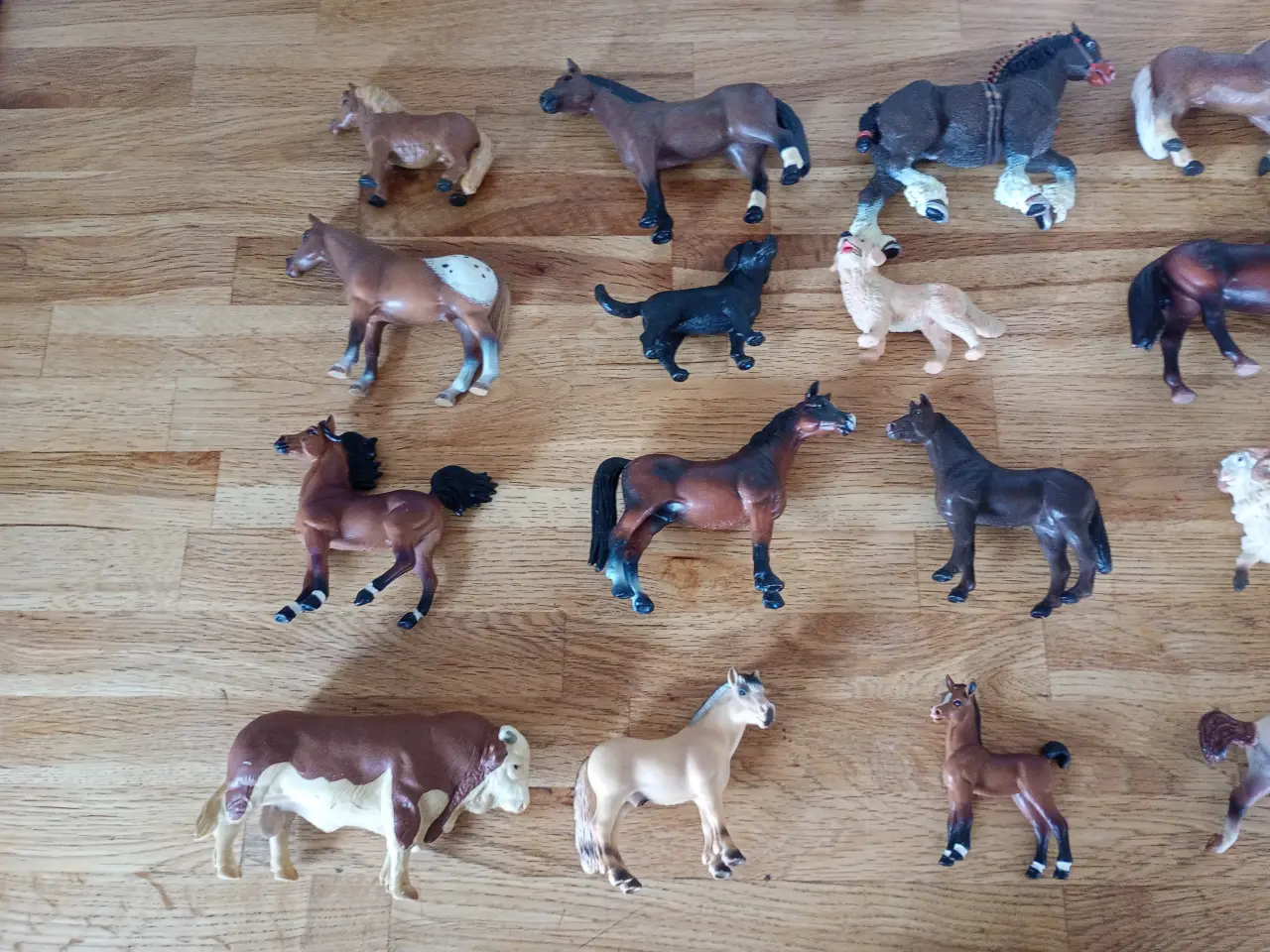 Billede 1 - schleich dyr. 50 stk