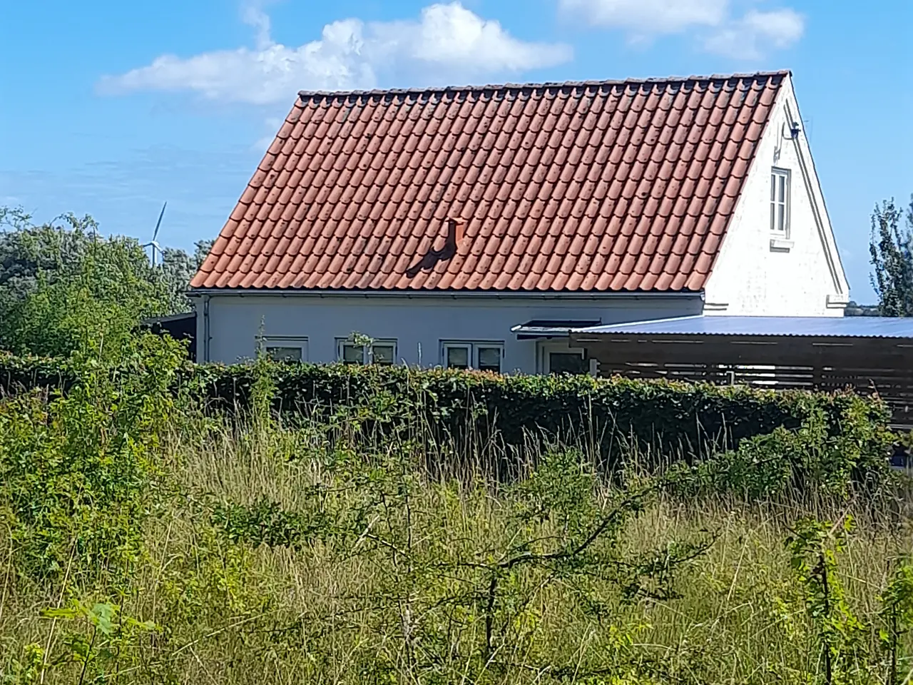 Billede 2 - Byggegrund samsø
