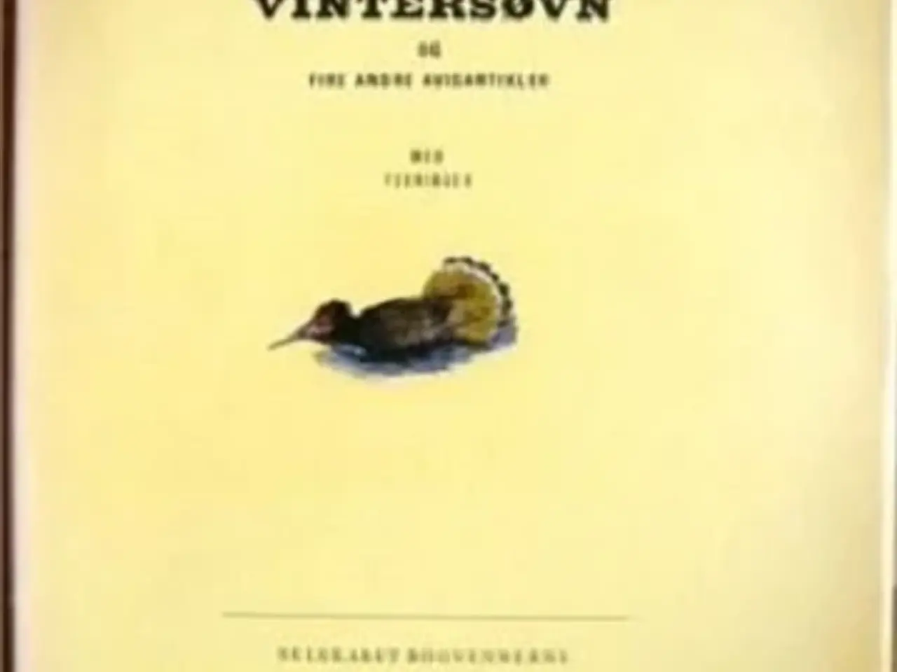 Billede 1 - Vintersøvn af Ib Andersen