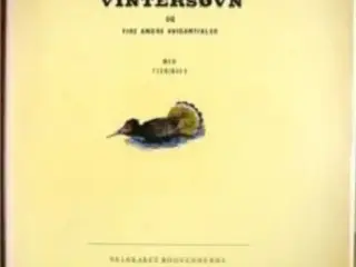 Vintersøvn af Ib Andersen