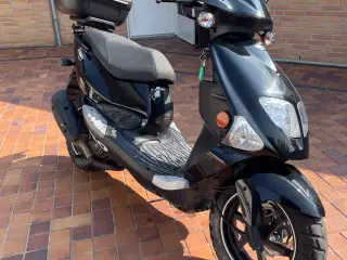 PGO T - REX 50