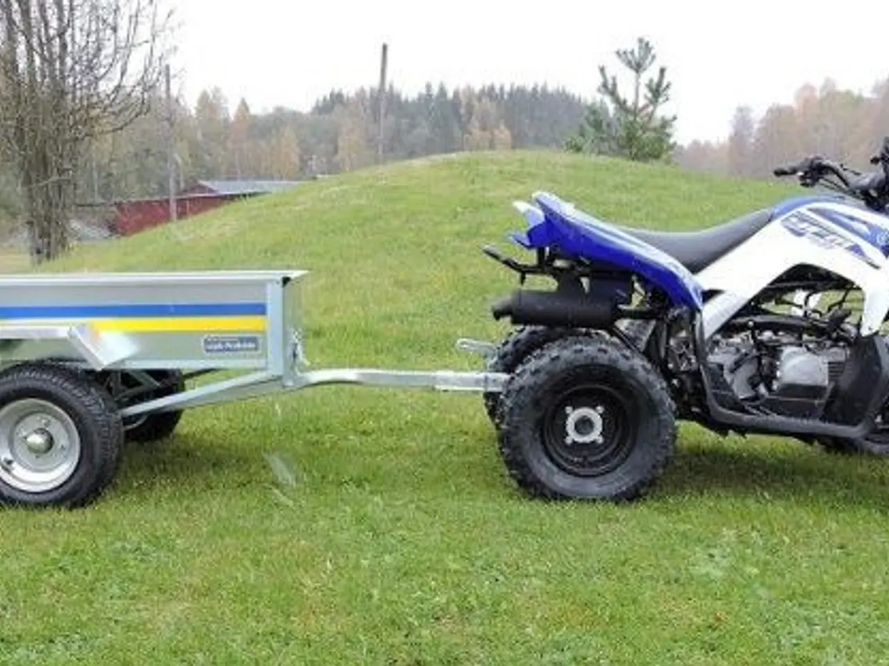 Billede 9 - Yamaha YFM 110 R