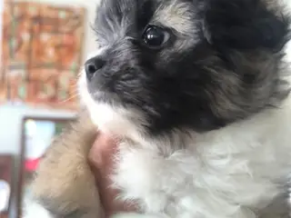 Bente venter på sin dejlige familie ❤️