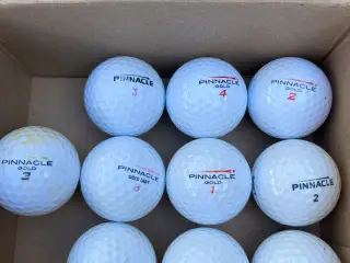 24 stk Pinnacle på lager. Samlet pris 60kr
