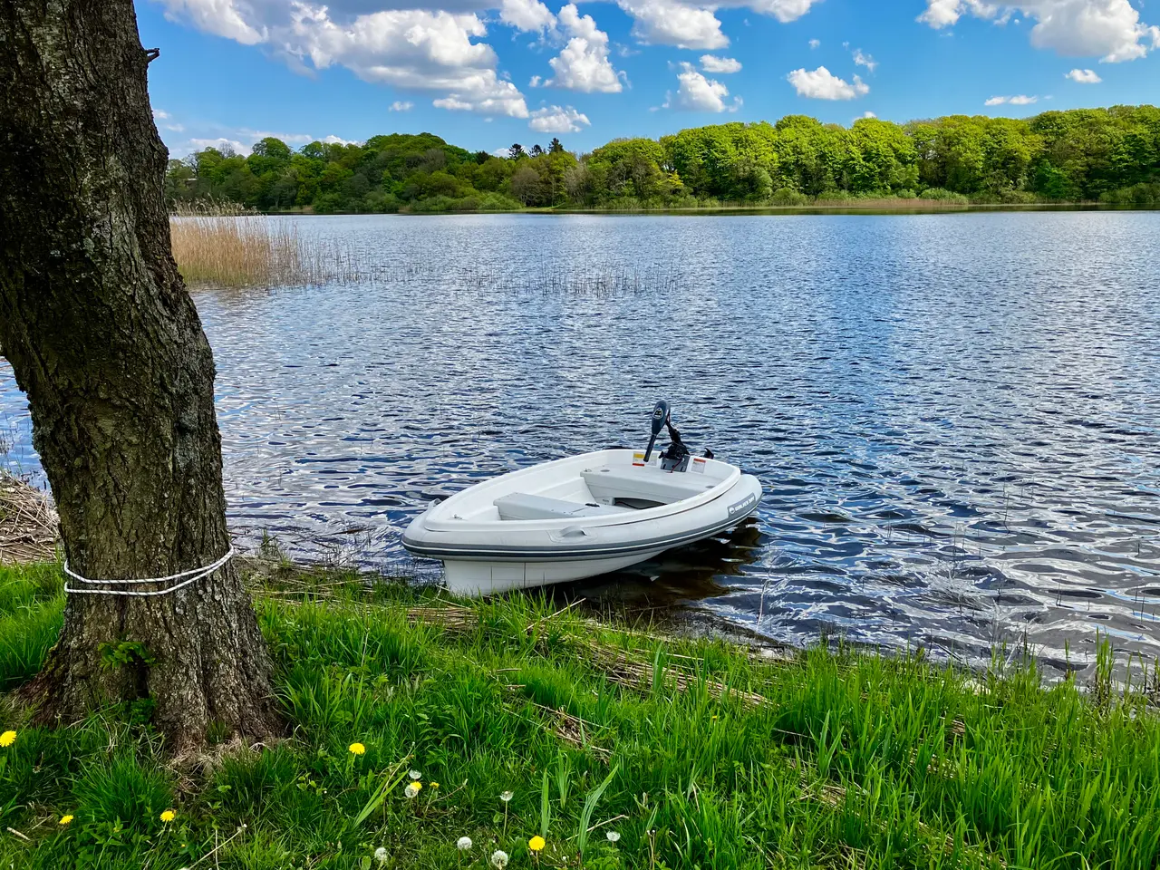 Billede 6 - Walker Bay 10'