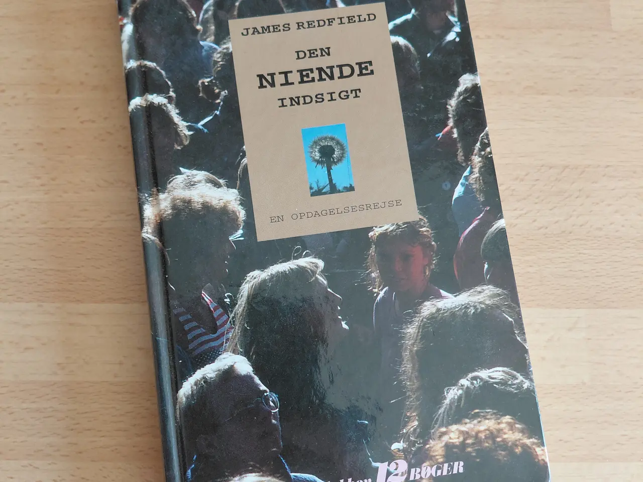 Billede 1 - Den Niende Indsigt.