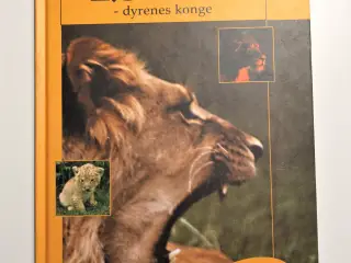 Løven - dyrenes konge. Af Birthe Kot