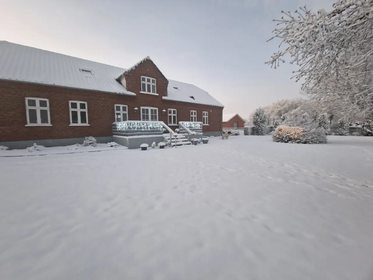 Billede 1 - Opbevaring af biler og campingvogne, 