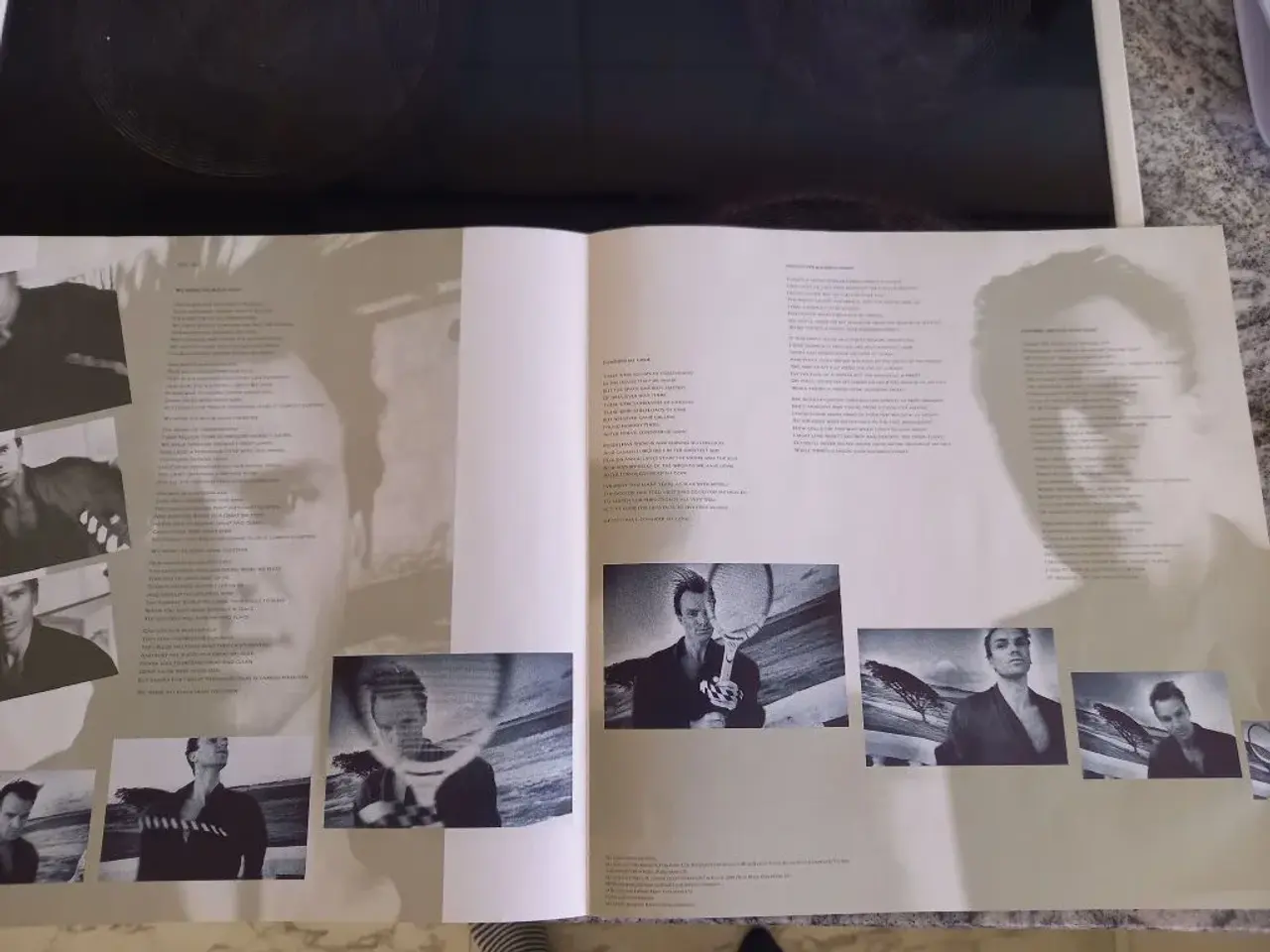 Billede 4 - Sting "The Dream of the blue turtles"