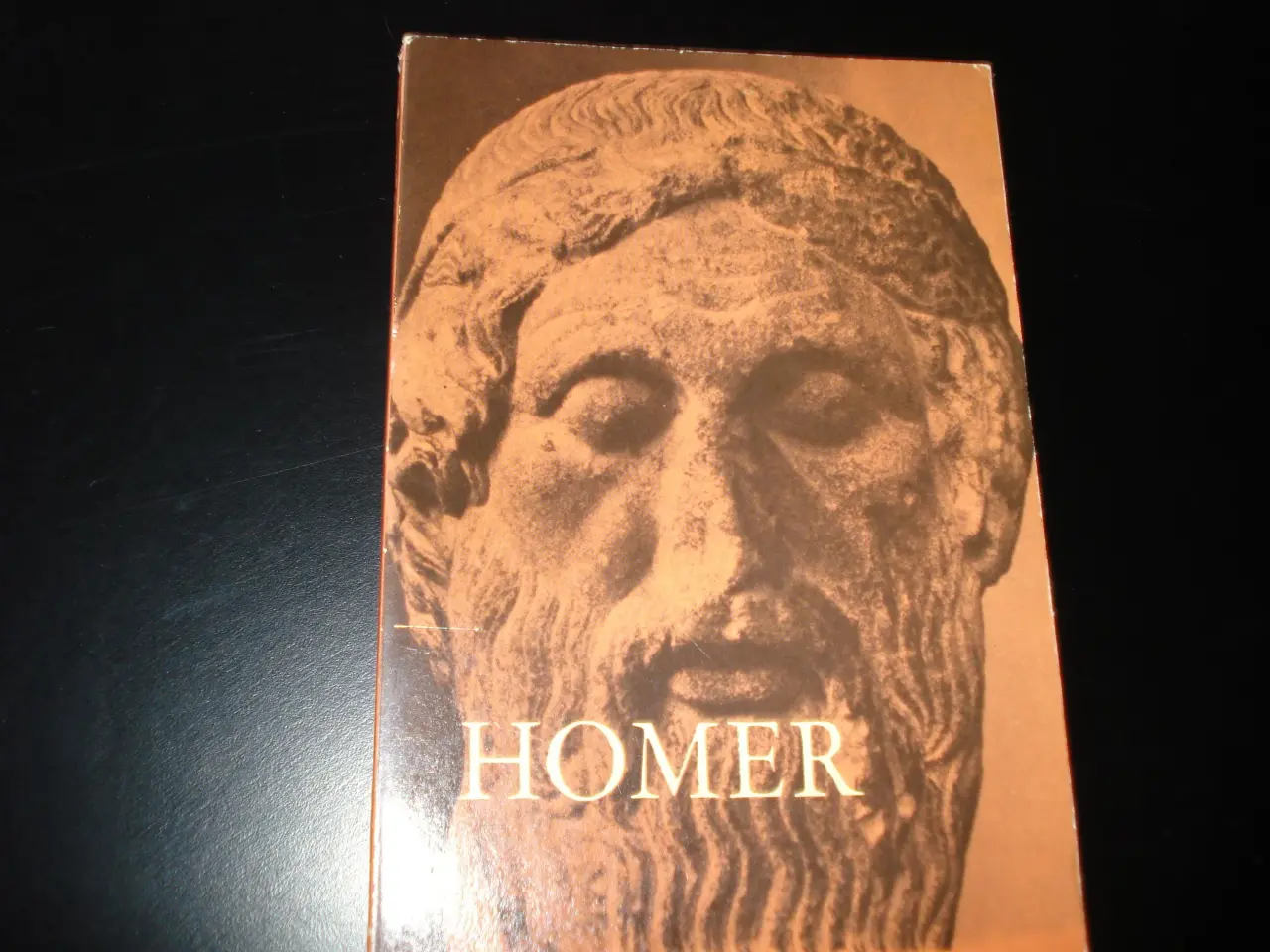 Billede 1 - Homer