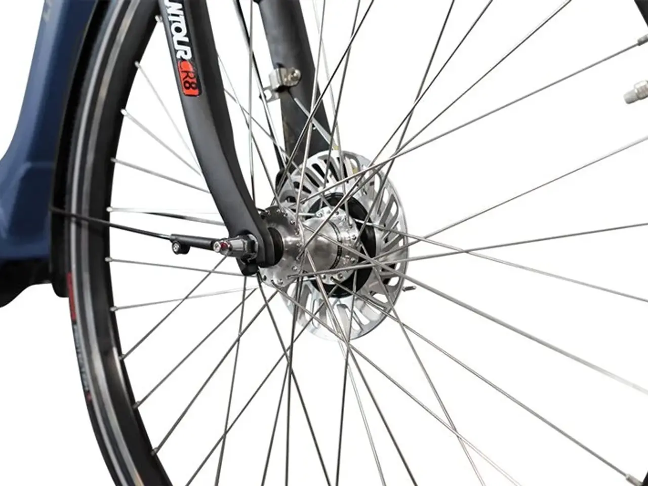 Billede 2 - Lindebjerg 28'' Elcykel - Center H - Mat Blå