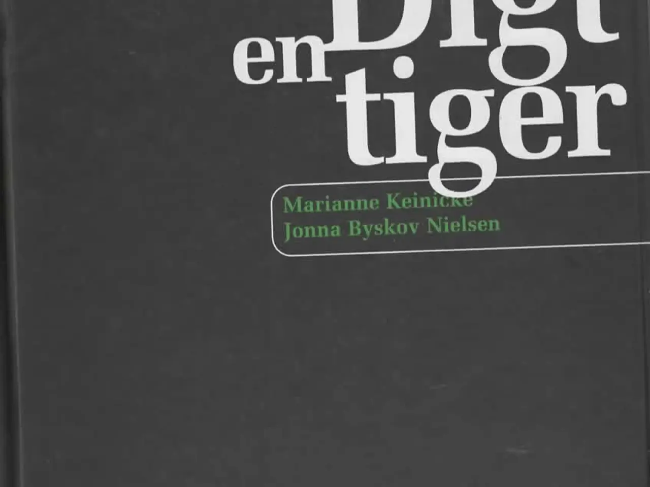 Billede 2 - Digt en tiger