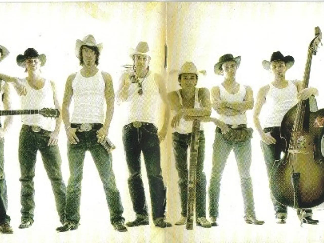 Billede 8 - BossHoss* – Internashville Urban Hymns – CD