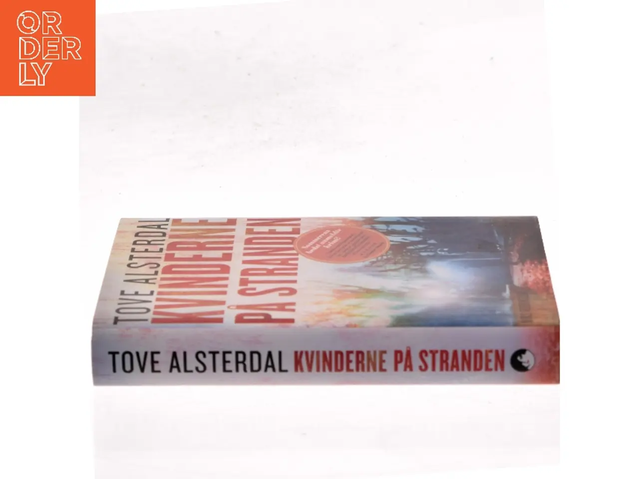 Billede 2 - Kvinderne på stranden af Tove Alsterdal (Bog)
