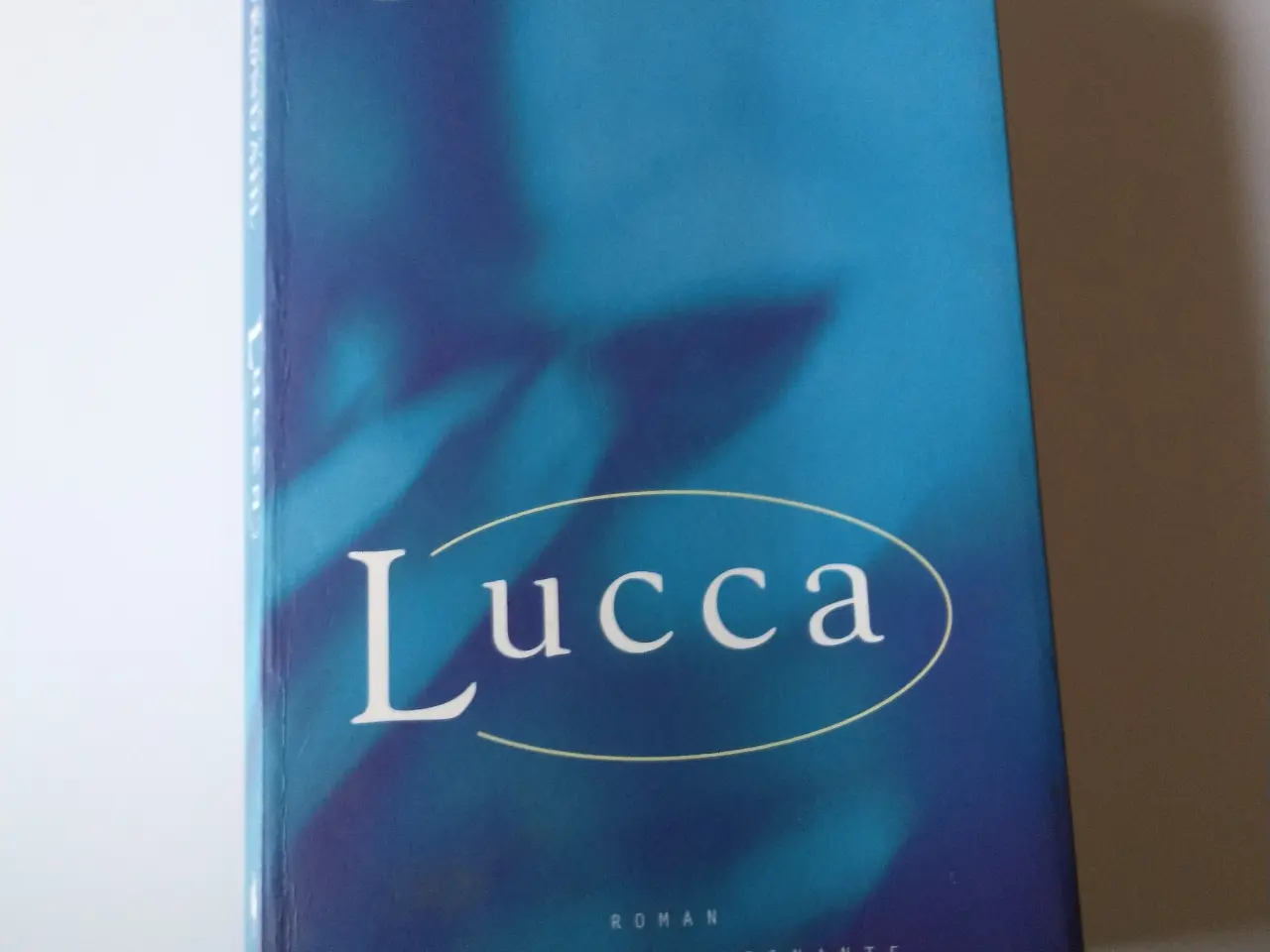 Billede 1 - Lucca. Af Jens Christian Grøndahl