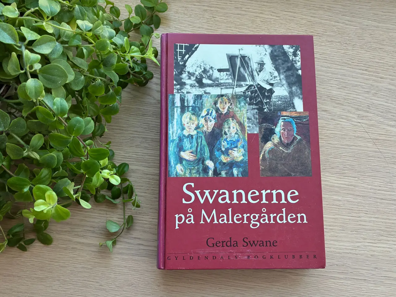 Billede 1 - Swanerne på Malergården  af Gerda Swane