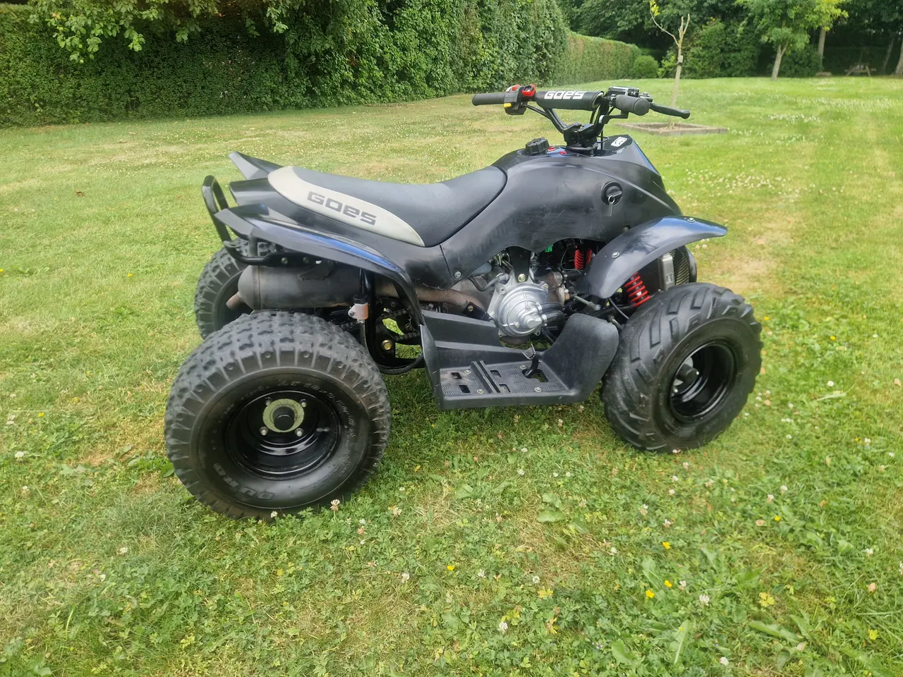 Billede 8 - Goes Apex Pro 100S 