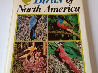Birds of North America af Bertel Bruun