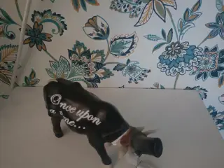 Porcelæns ko