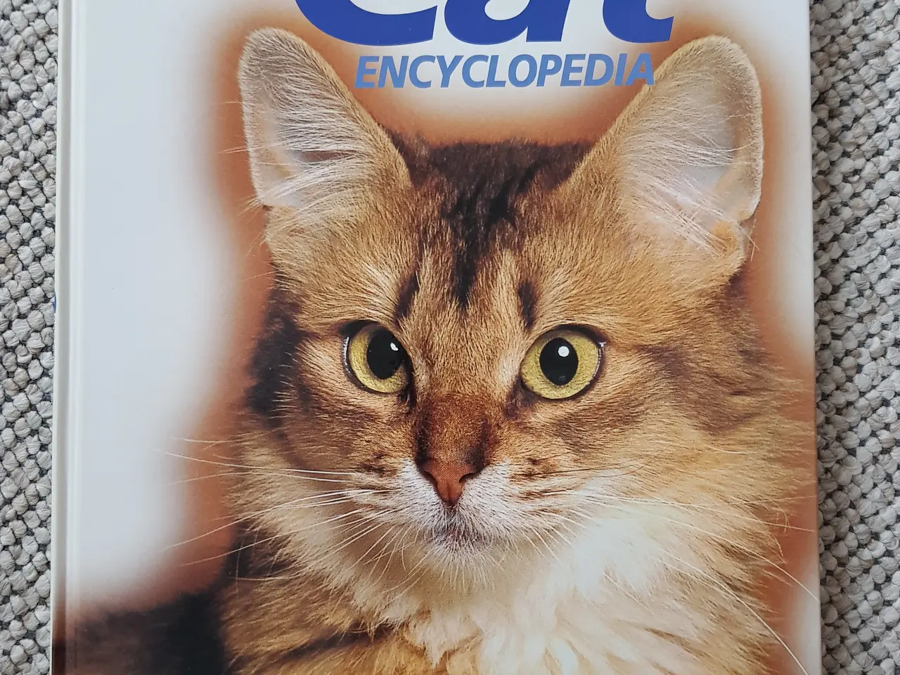 Billede 2 - Katte opslagsværk - Cat encyclopedia Volume 3