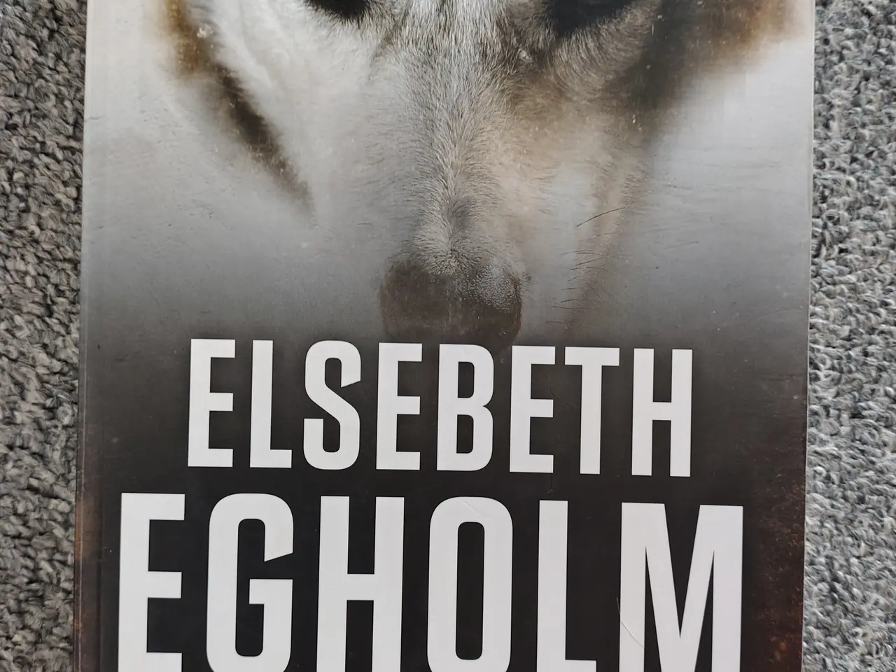Billede 8 - Elsebeth Egholm bøger