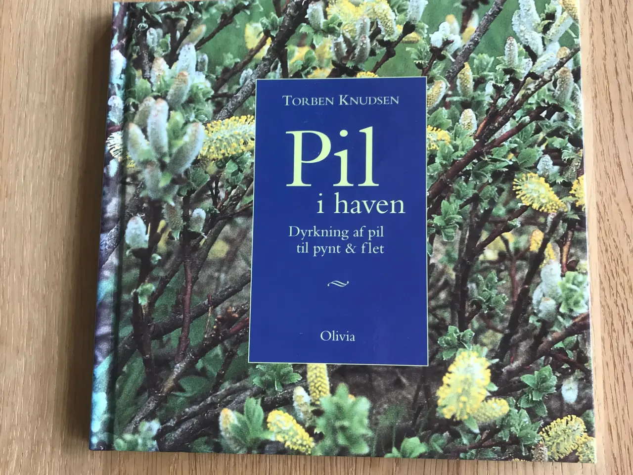 Billede 1 - Pil i haven - Dyrkning af pil til pynt & flet
