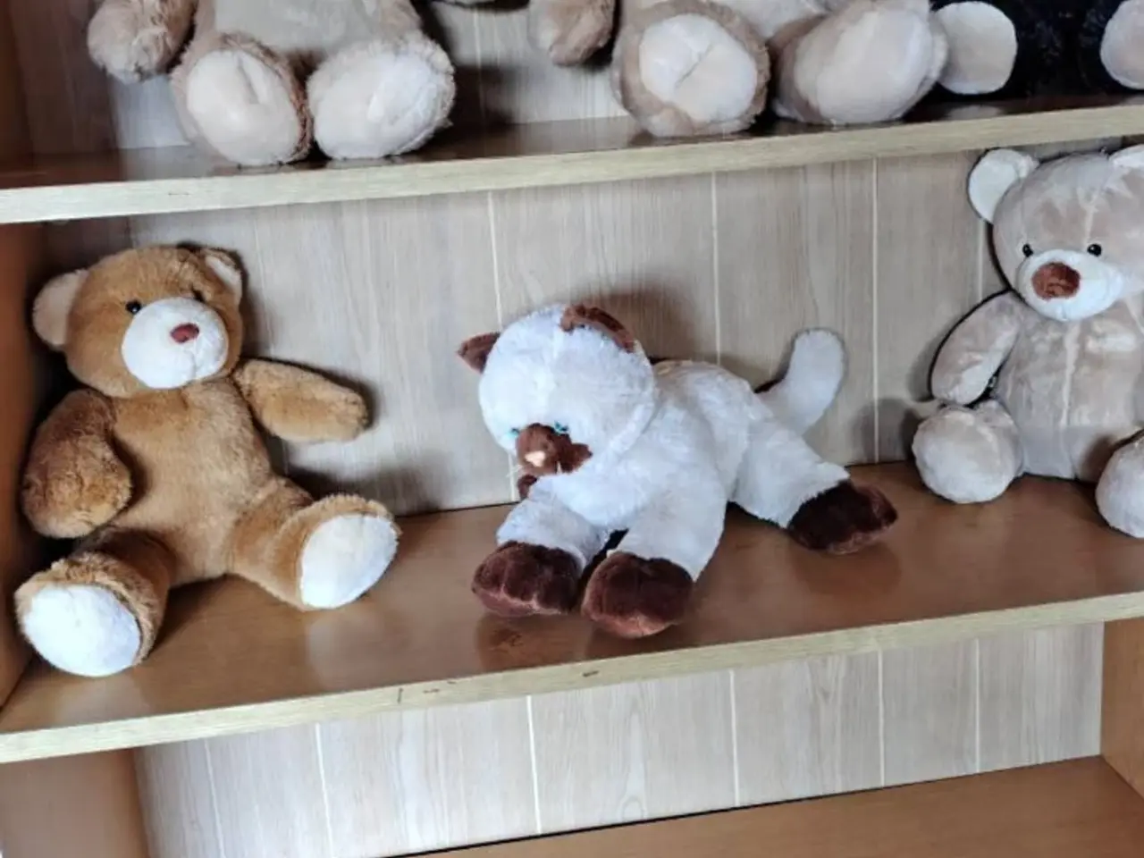 Billede 1 - Build-abear sælges pæn og velholdt